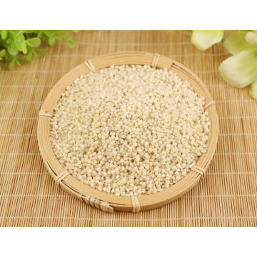 Rice Sorghum